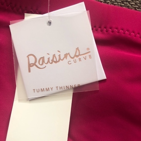 RAISINS Curve Costa Plus Size Solid High-Rise Swim Bikini Bottom Pink 22W - Picture 4 of 10